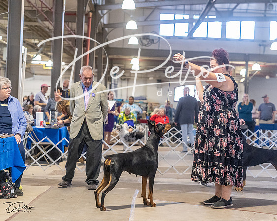 20230401-DSC06363