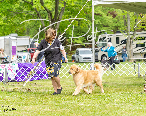 20230427-DSC03379