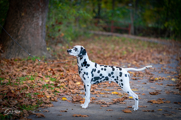 20261017-DSC09205