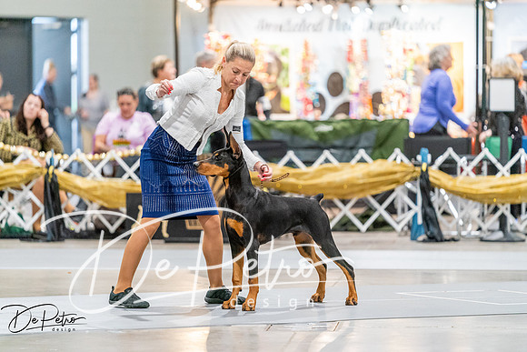 20260930-DSC07012