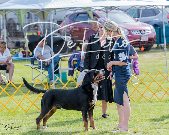 20230513-DSC00798