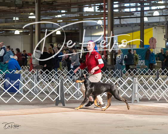 20230402-DSC08821