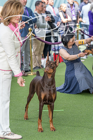 20230509-DSC01463