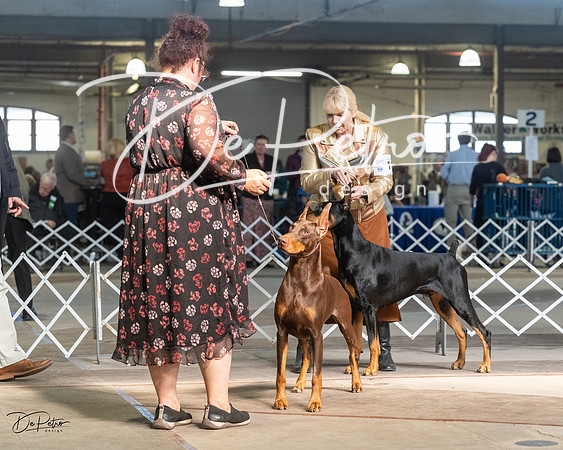 20230402-DSC08975
