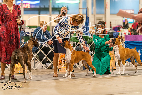 20261023-DSC05486
