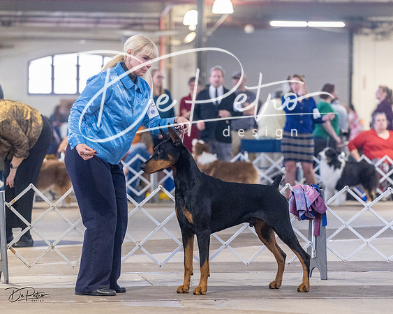 20230401-DSC06496