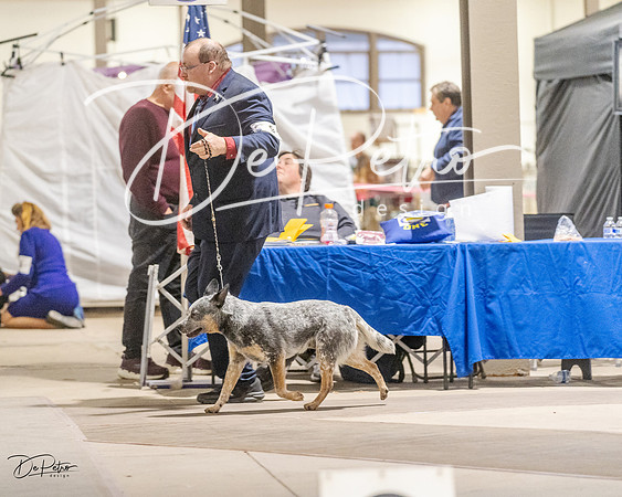20230401-DSC07921