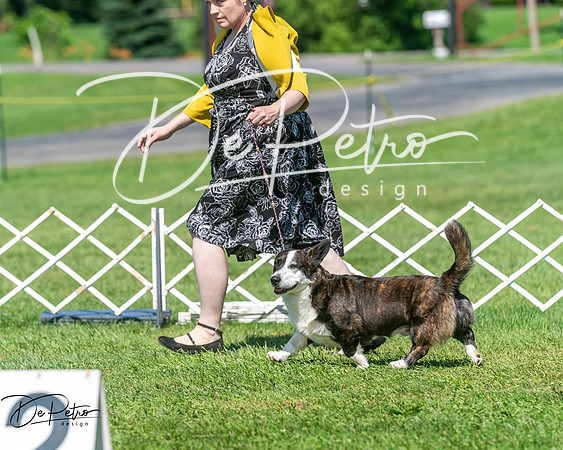 20250629-DSC00854