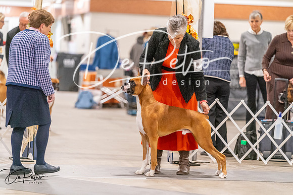 20261024-DSC08379