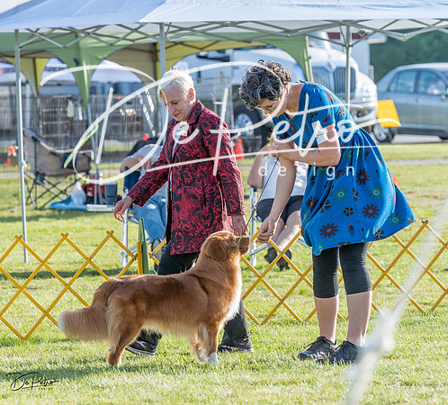 20230513-DSC02488