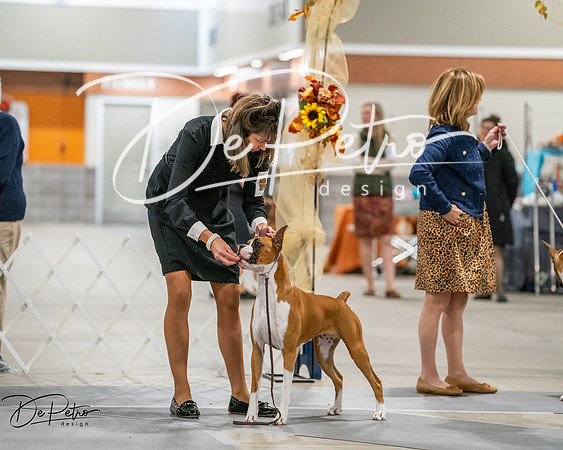 20261022-DSC03035