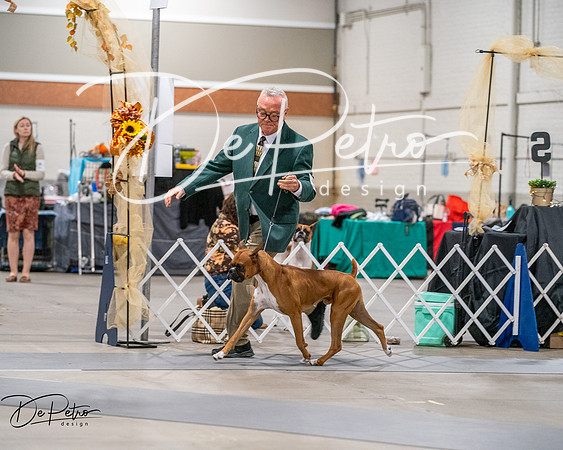 20261022-DSC02913