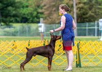 20230513-DSC08118