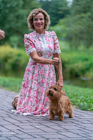 20260912-DSC03346