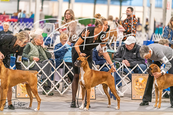 20261024-DSC08400