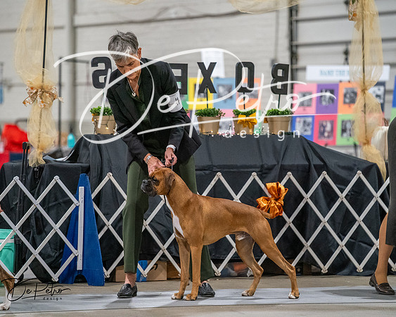 20261022-DSC02752