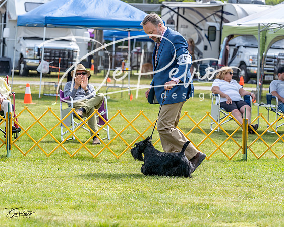20230513-DSC00074