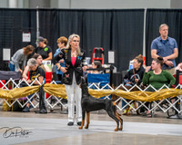 20260926-DSC03806
