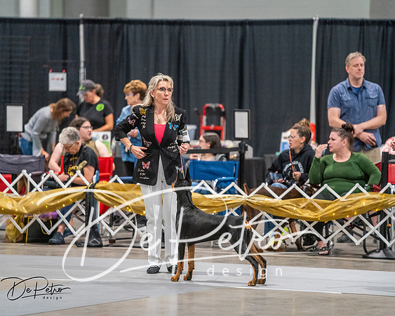 20260926-DSC03806