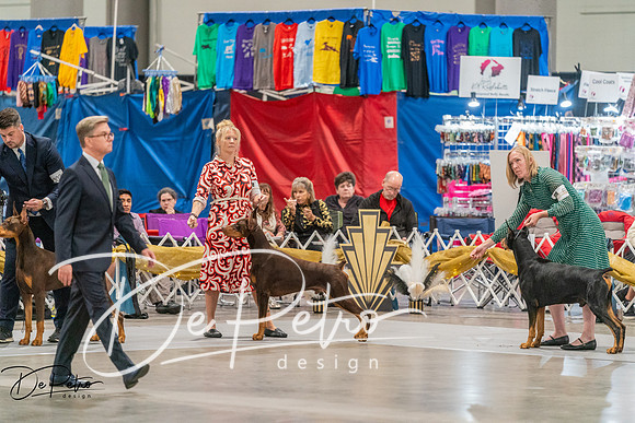 20260927-DSC05750