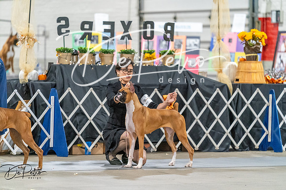 20261022-DSC00340