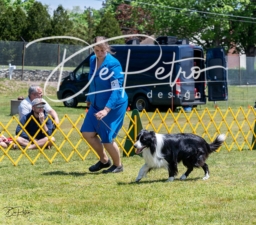 20230514-DSC04836
