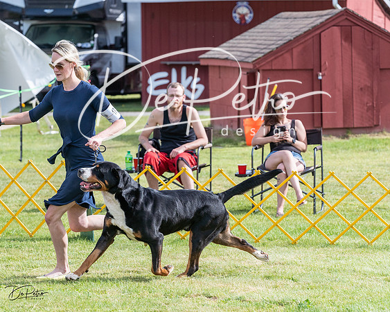 20230513-DSC00817