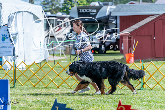 20230512-DSC05292