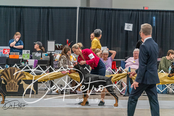 20260927-DSC05415