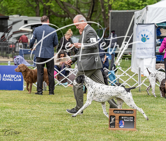 20230427-DSC05878