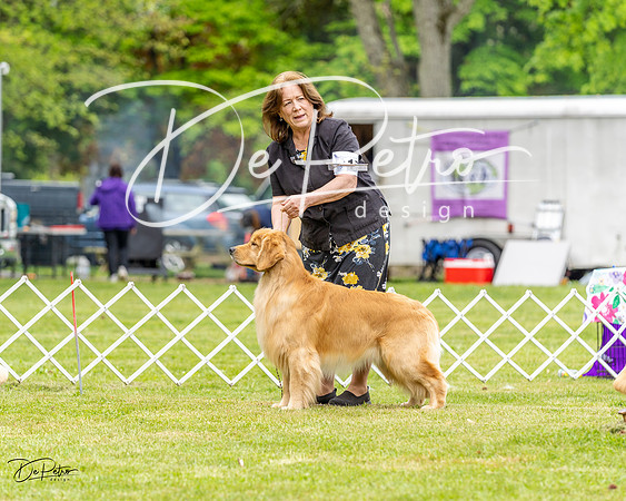 20230427-DSC03968