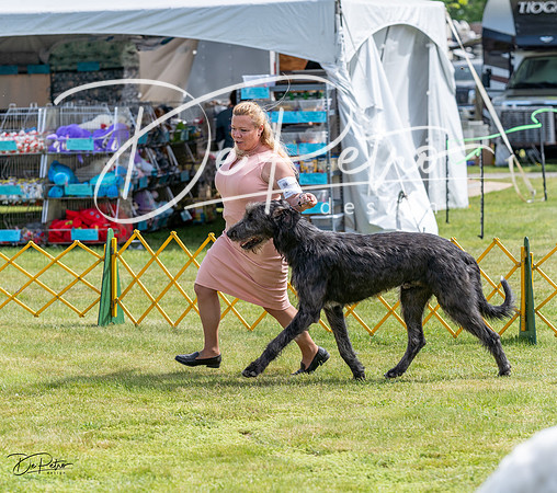 20230513-DSC09788
