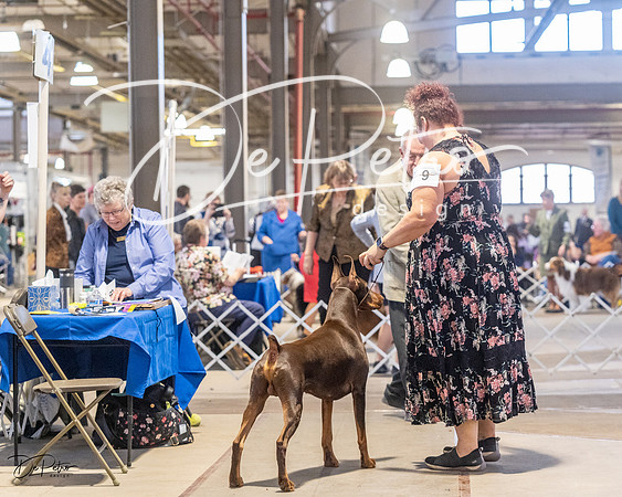 20230401-DSC06464