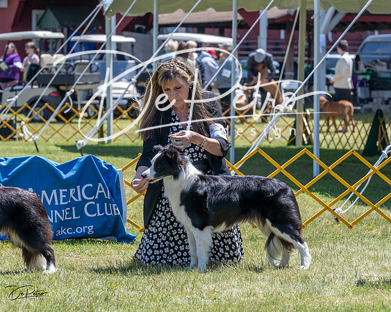 20230514-DSC04778