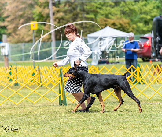 20230513-DSC08223