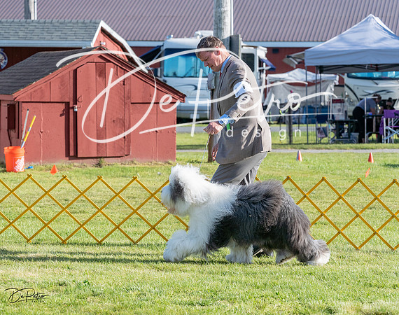 20230513-DSC02445