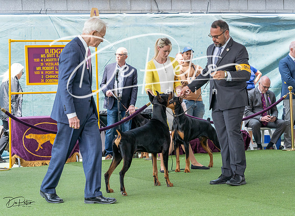 20230509-DSC01112