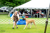 20230702-DSC01903