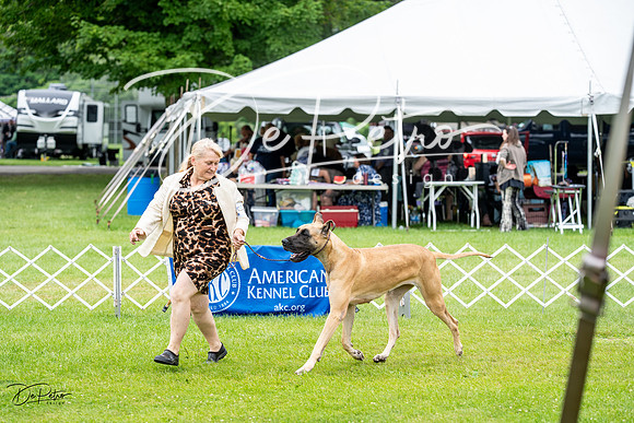 20230702-DSC01903