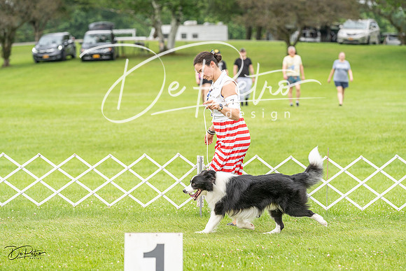 20230702-DSC03995