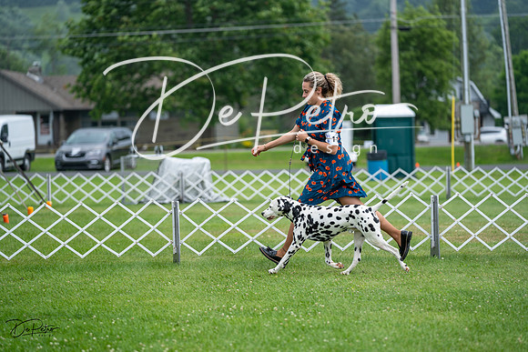 20230701-DSC08330