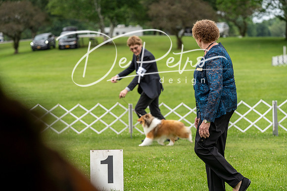 20230702-DSC04083