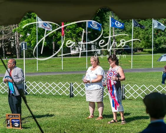 20250629-DSC01260