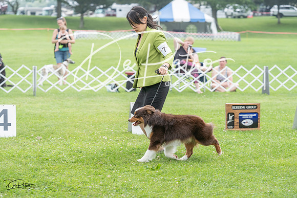 20230701-DSC09662