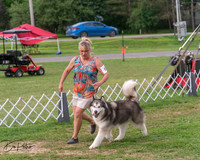 20250628-DSC08837