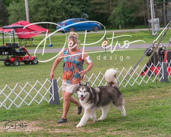 20250628-DSC08837