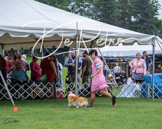 20230701-DSC01183