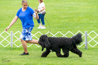 20230702-DSC03556