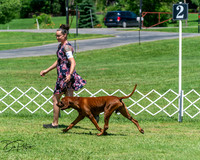 20250629-DSC09447