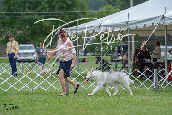 20230702-DSC01684